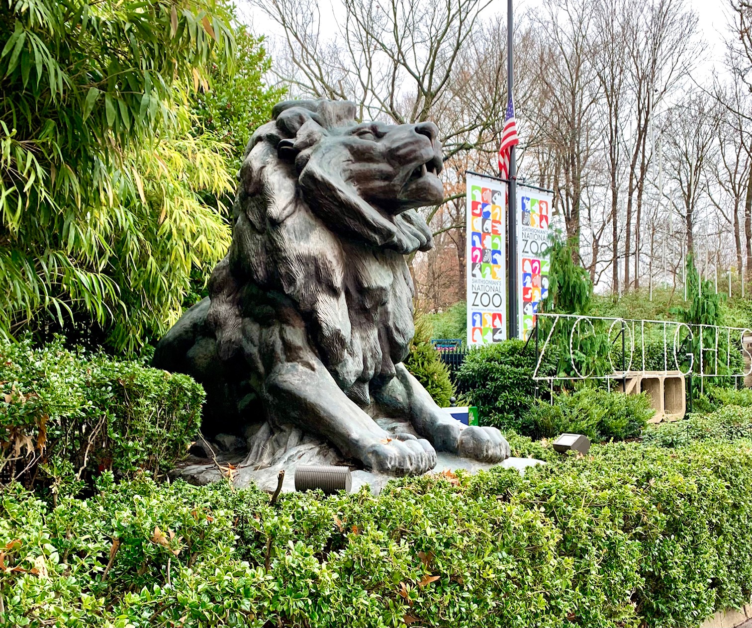 Studio For Sale in Woodley Park, Washington, DC