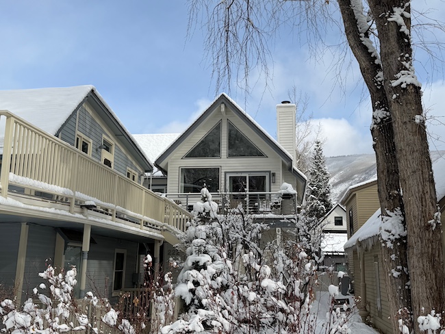 222 West Hopkins Ave #6 in Aspen