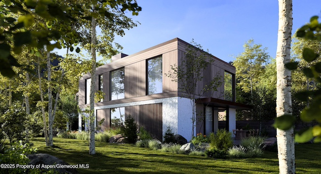 433 Gillespie Street in Aspen