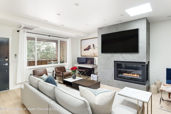 450 Original Street Unit 8 in Aspen