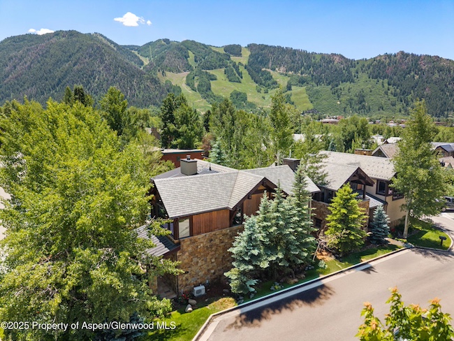 566 Race Street in Aspen