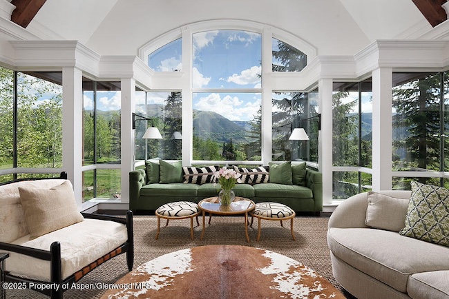 74 Pfister Drive 101 in Aspen
