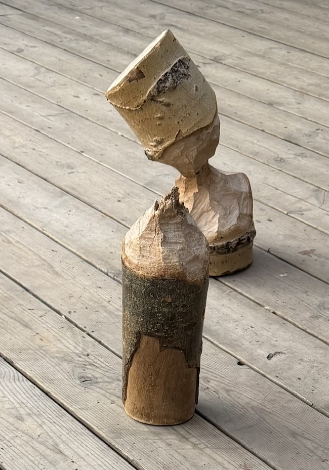Wood Shaped by Beaver Teeth