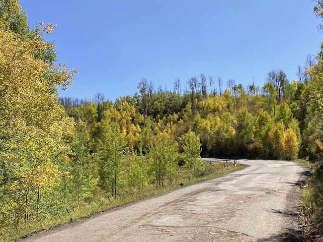 Fall Leaves Changing Color on Road to Missouri Heights