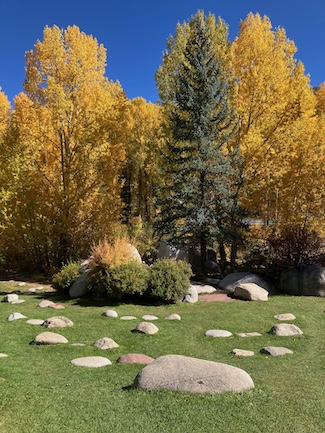 Fall Leaves in John Denver Sanctuary