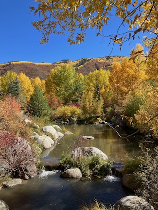 John Denver Sanctuary Stream