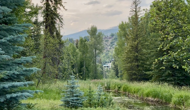 Red Mountain Homes Seen from Hallam Lake