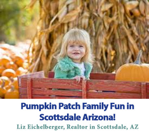 Pumpkin Patch Family Fun in North Scottsdale, Arizona By Liz Eichelberger Real Estate Agent