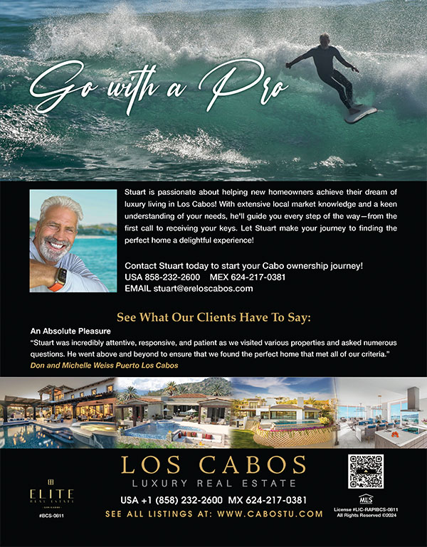 stuart newman - los cabos real estate ad with surfing pic