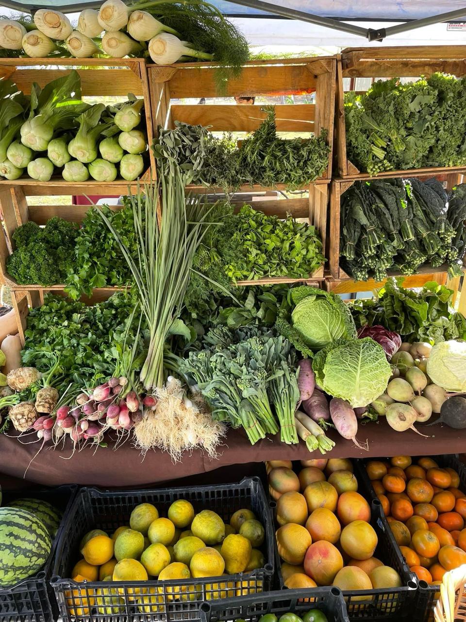 Cabos organic farming