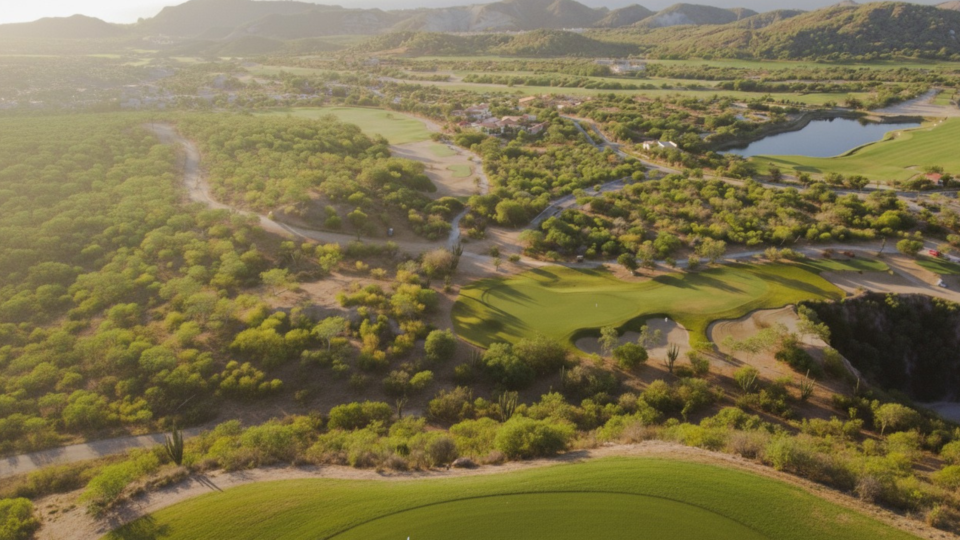 palmilla hills los cabos