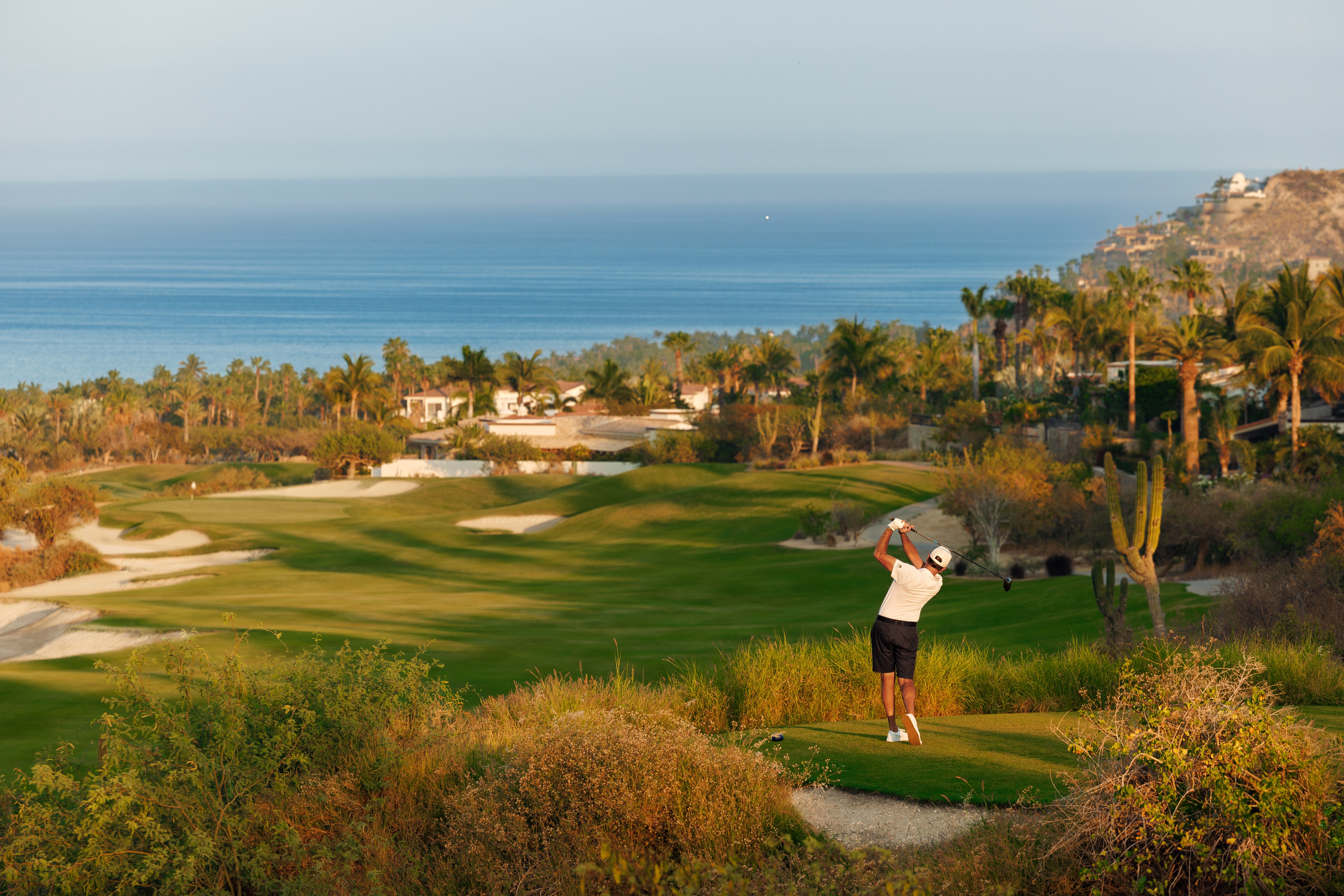 palmilla golf