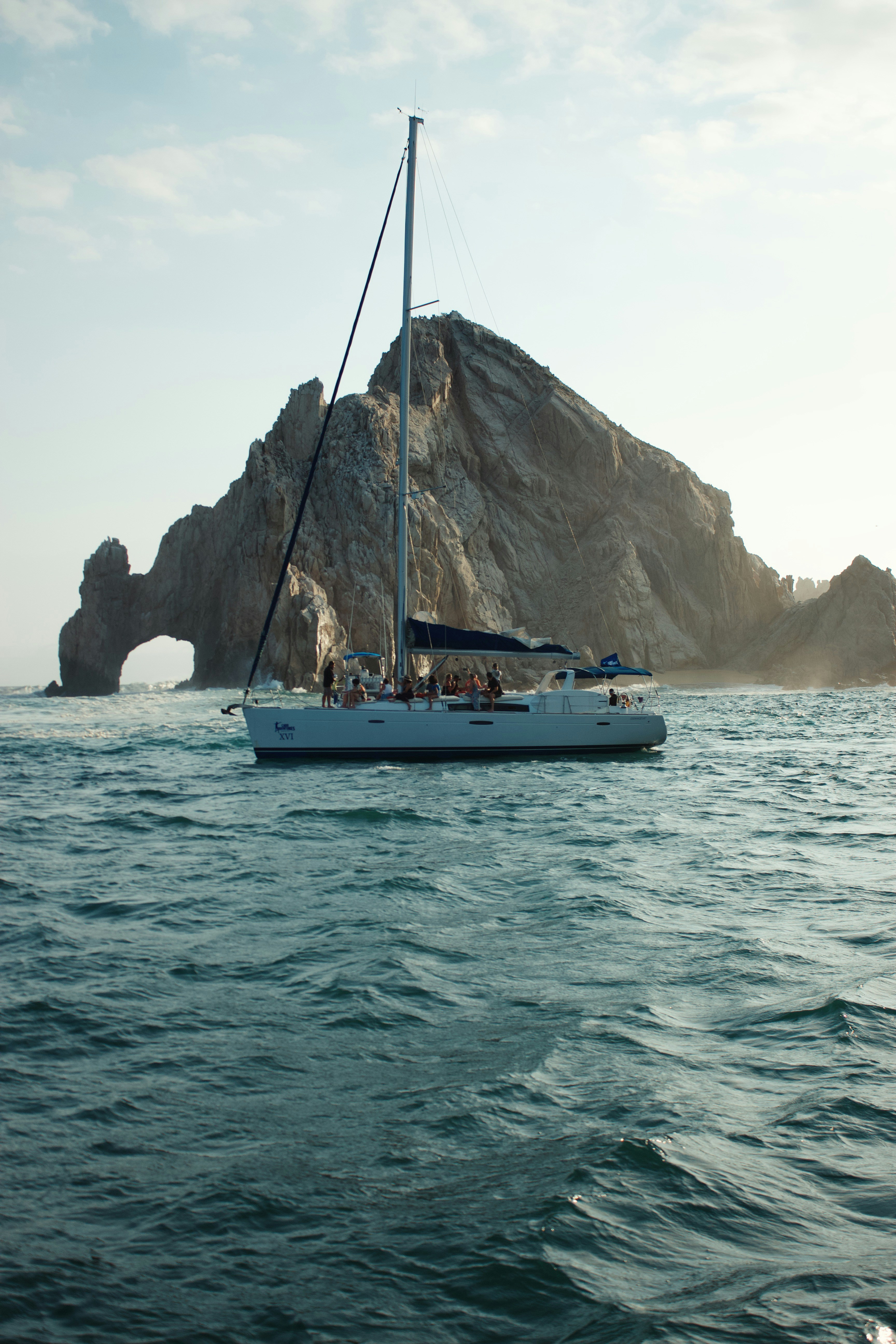 cabo san lucas whale watching