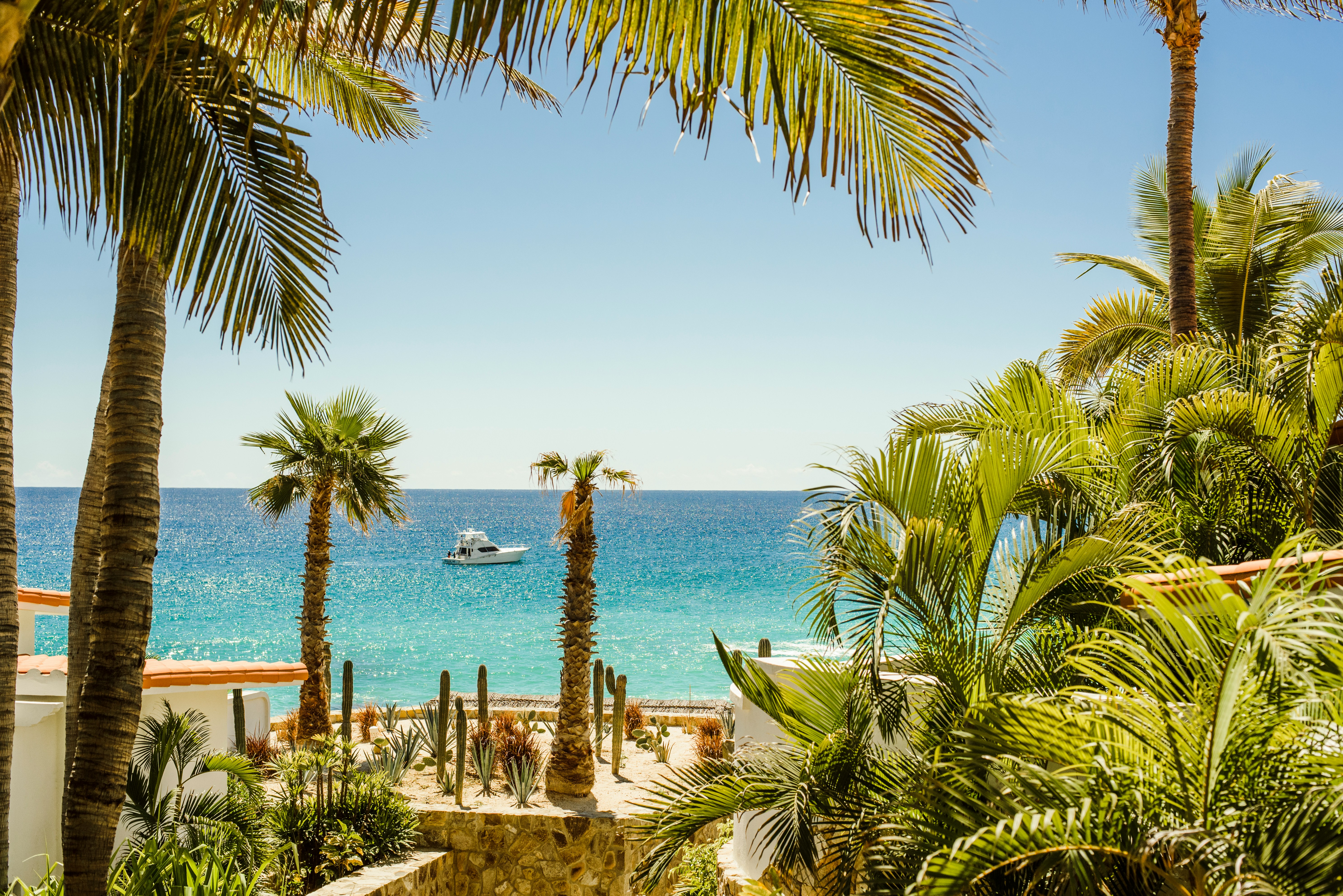 Puerto Vallarta or Los Cabos? 