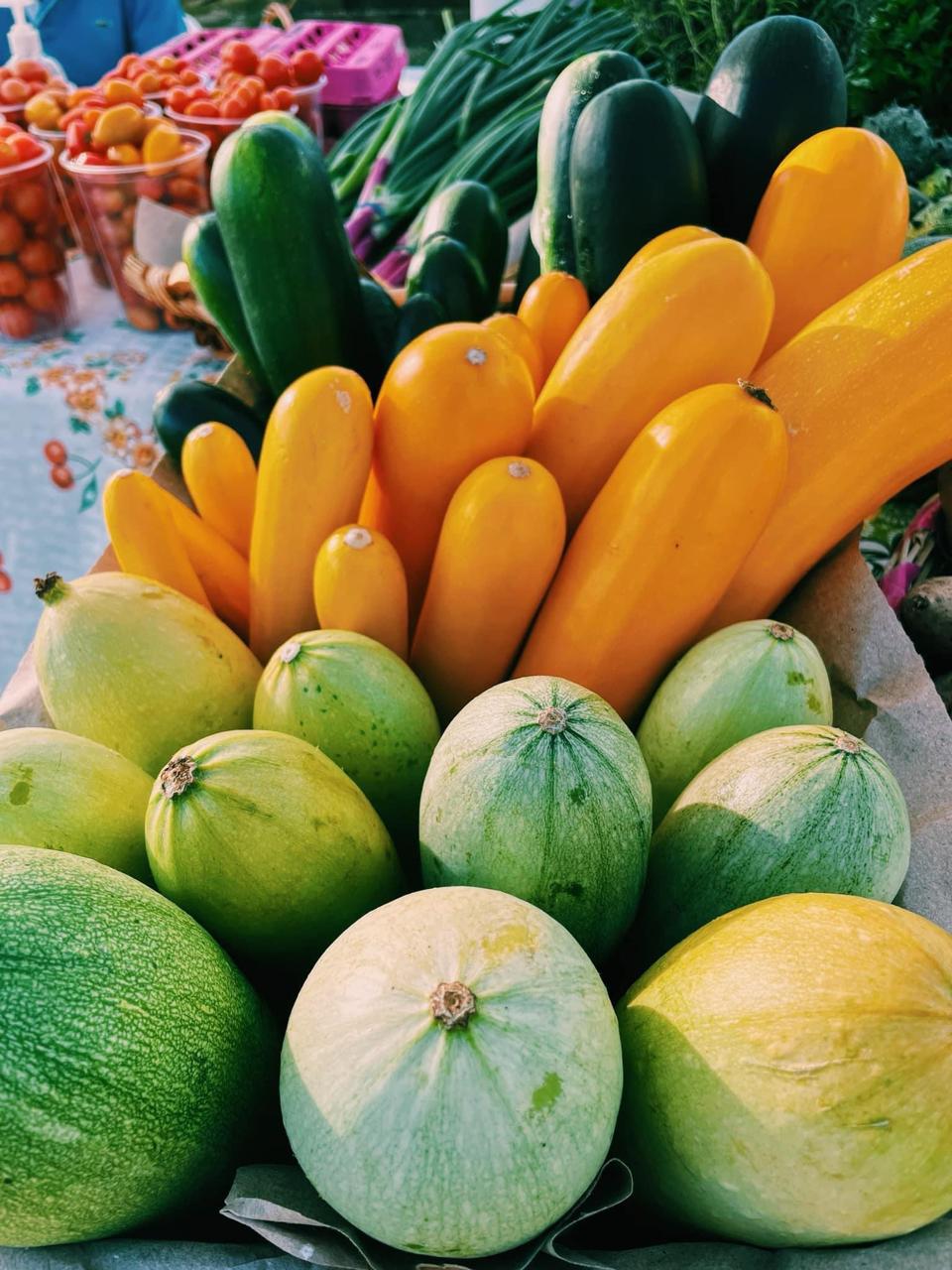 Cabo’s Agricultural Roots