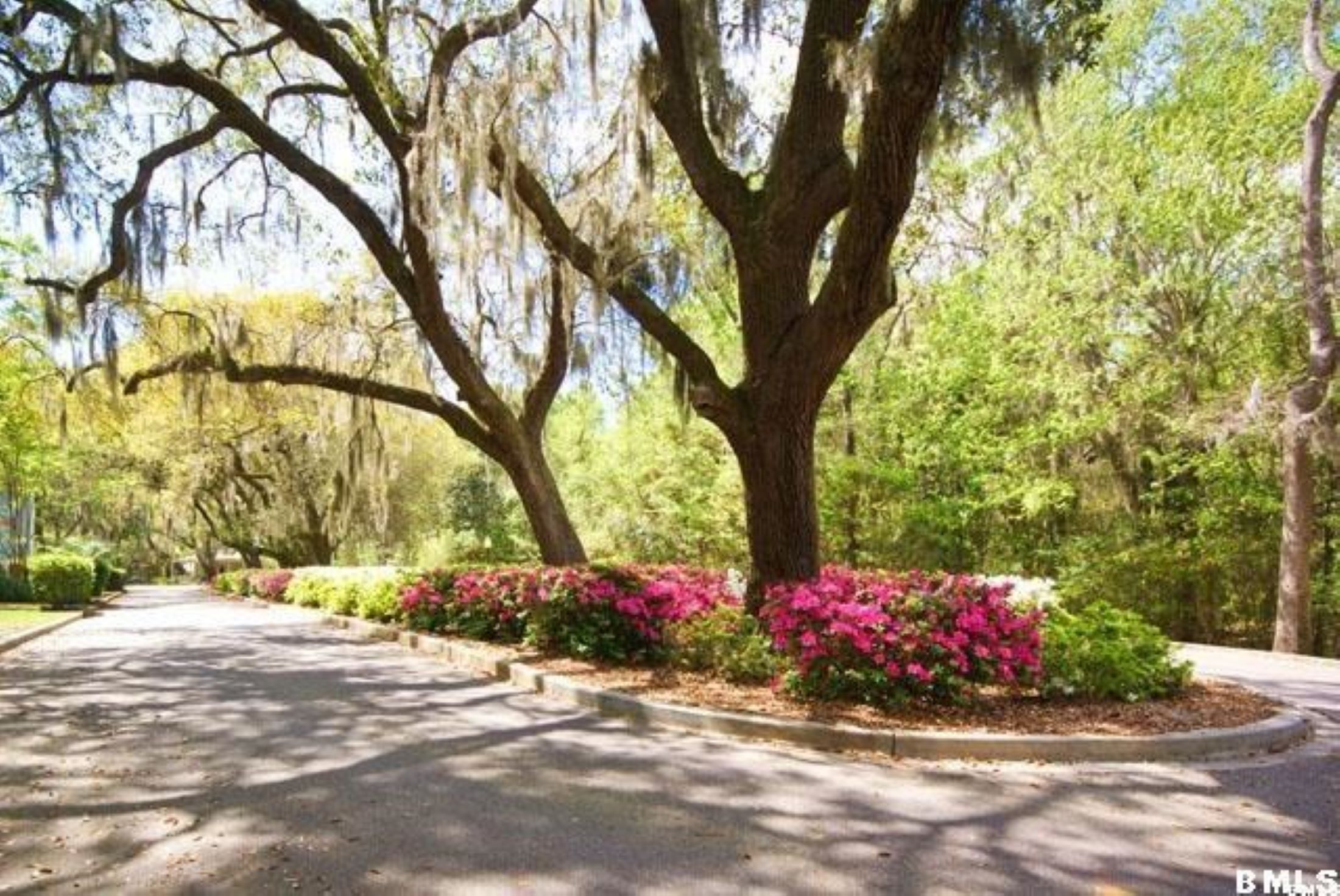 Battery Point Real Estate Battery Point Properties for Sale