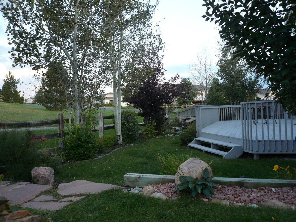 11672 Laurel Lane Parker CO-deck
