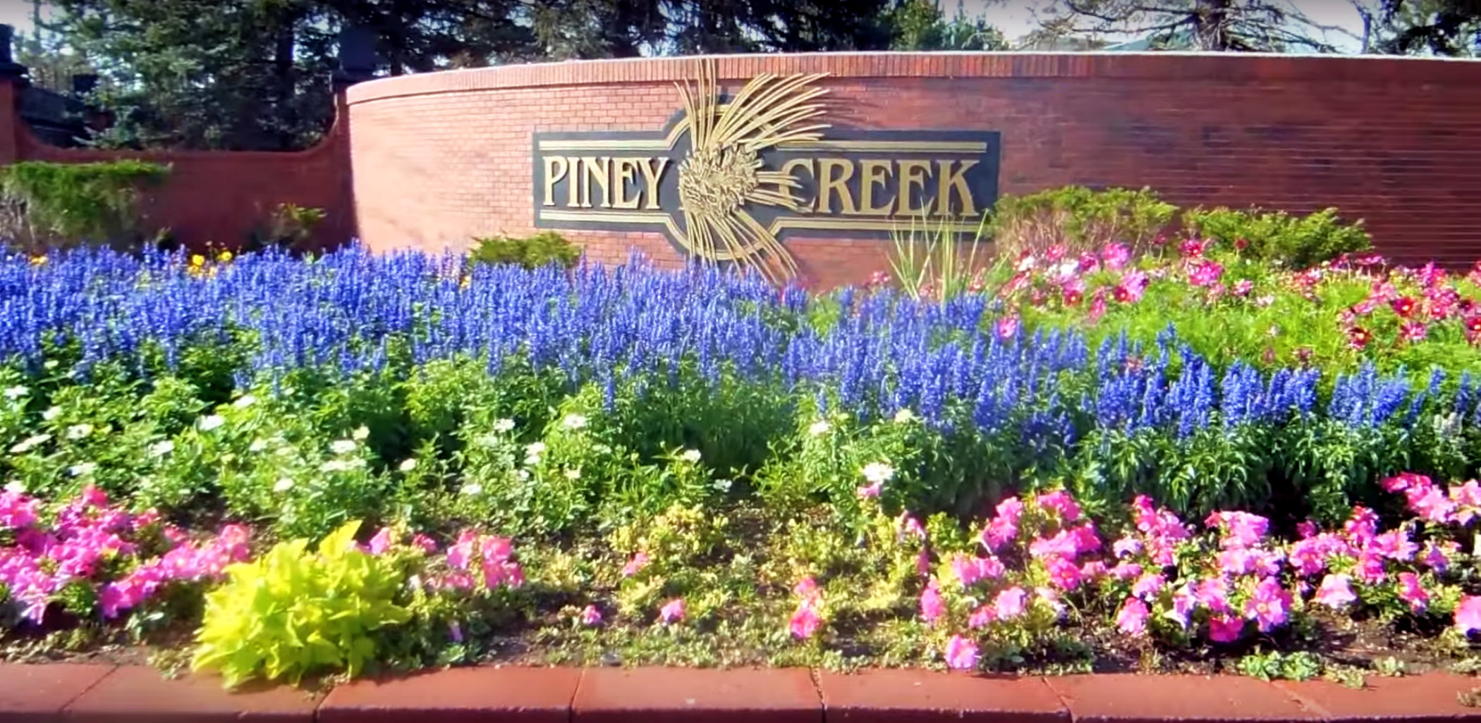 Piney Creek Centennial CO Homes & Real Estate