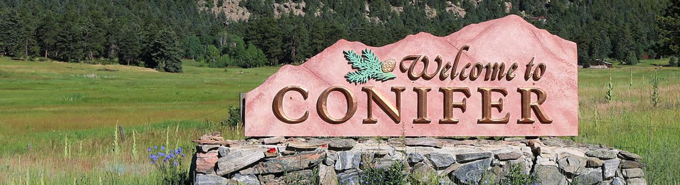 Conifer CO Homes & Real Estate