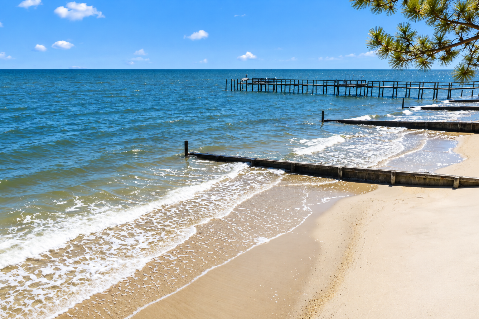 Newest MLS Listings Homes for Sale