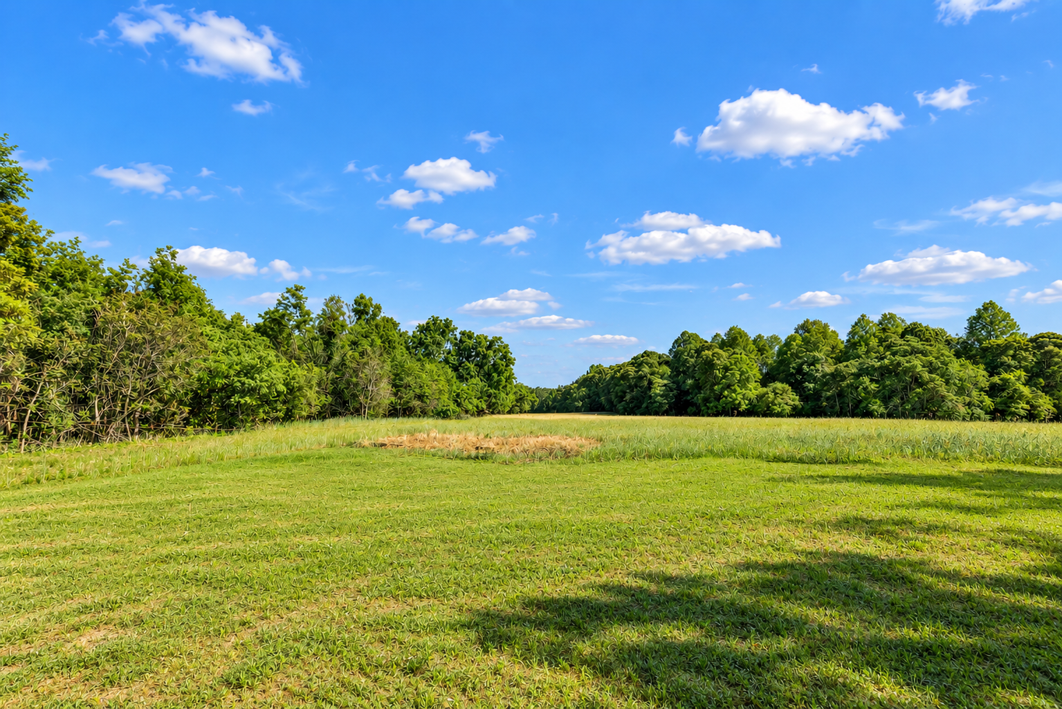 Inland Land for Sale