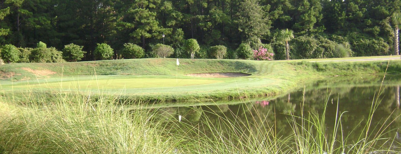 Homes and Condos for Sale in Longs, South Carolina