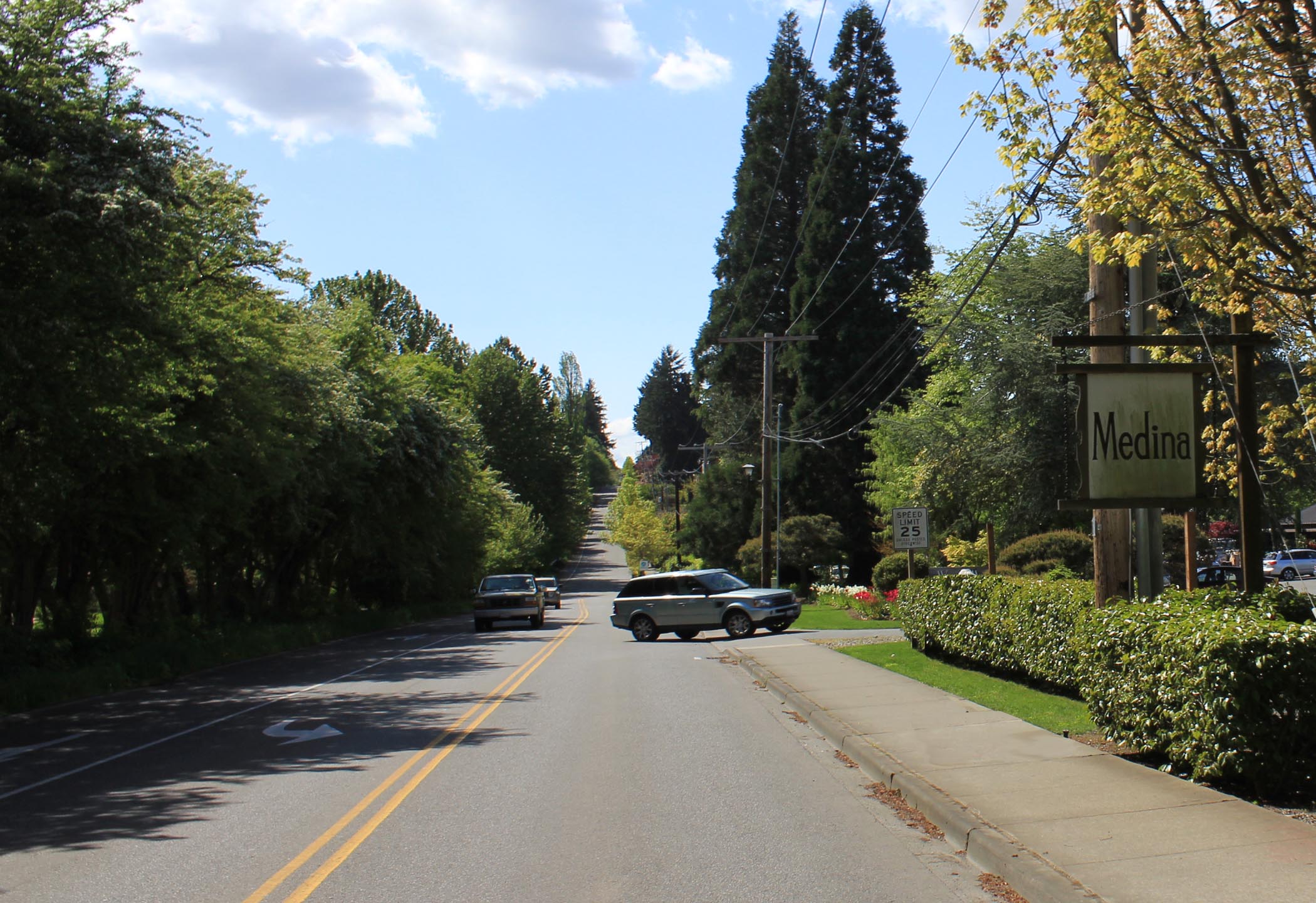 Medina Homes For Sale, Bellevue WA