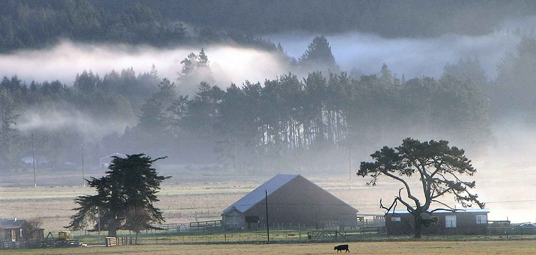 McKinleyville Real Estate Listings