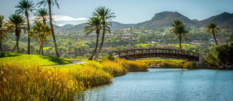 Lake Las Vegas, Henderson Real Estate 7