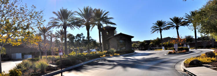 Madeira Canyon, Henderson Real Estate 10