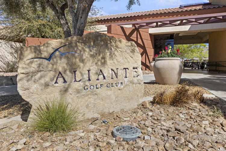Sun City Aliante, North Las Vegas Real Estate 8