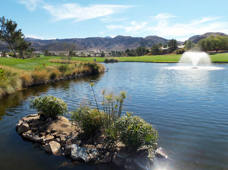 Sun City MacDonald Ranch Golf Fountain View