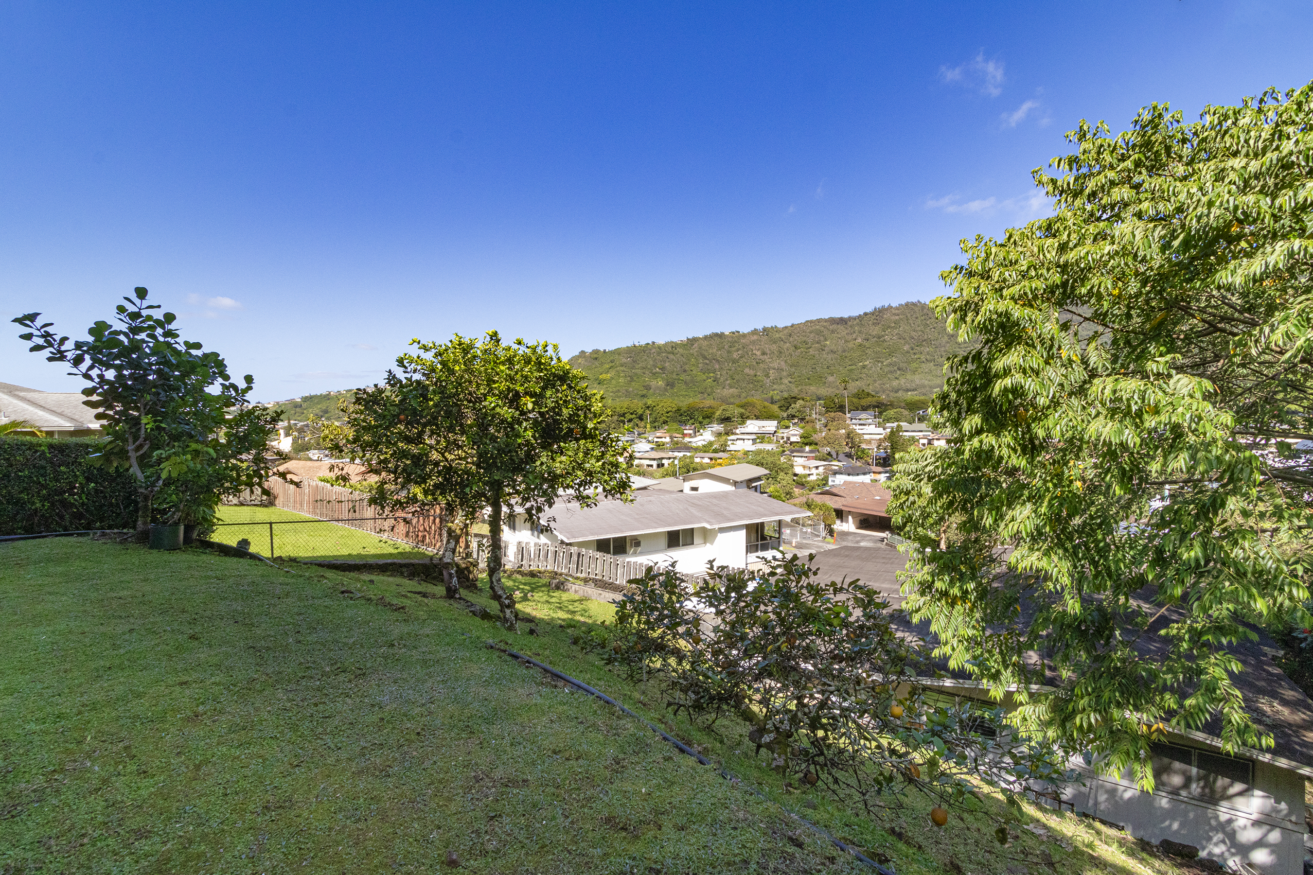 Backyard area at 380 Puiwa Road, Honolulu, HI 96817