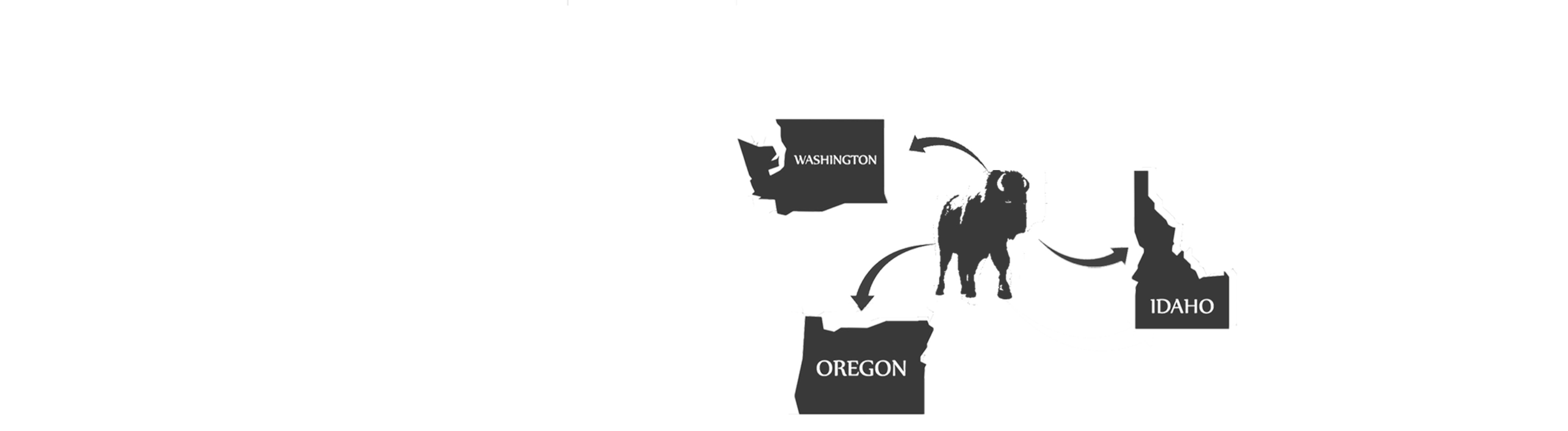 Bison Properties