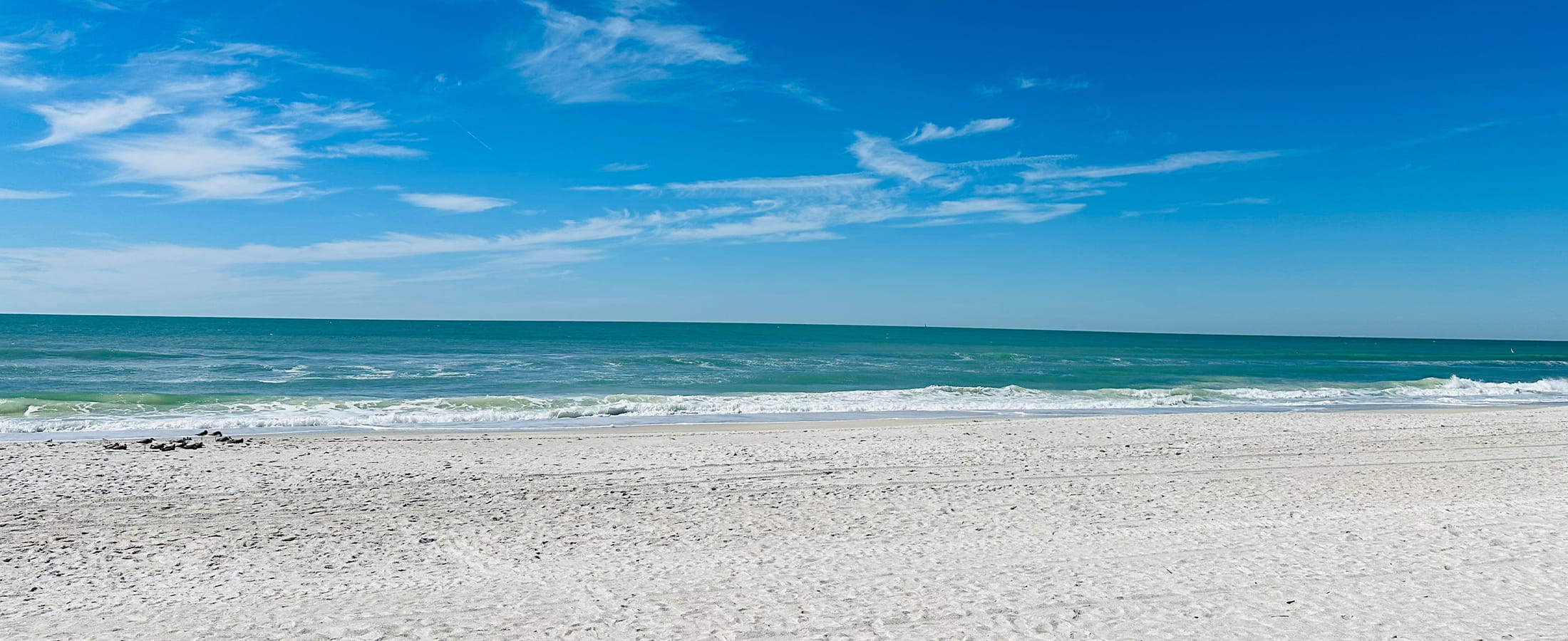 Florida Gulf Coast Real Estate Florida Gulf Coast Homes for Sale