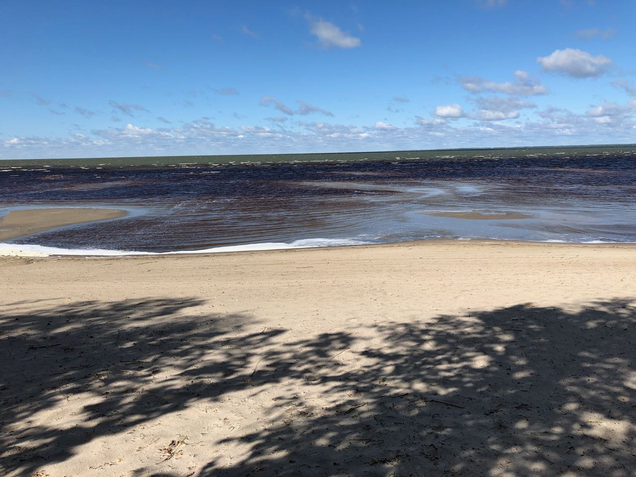 U. Red Lake real estate