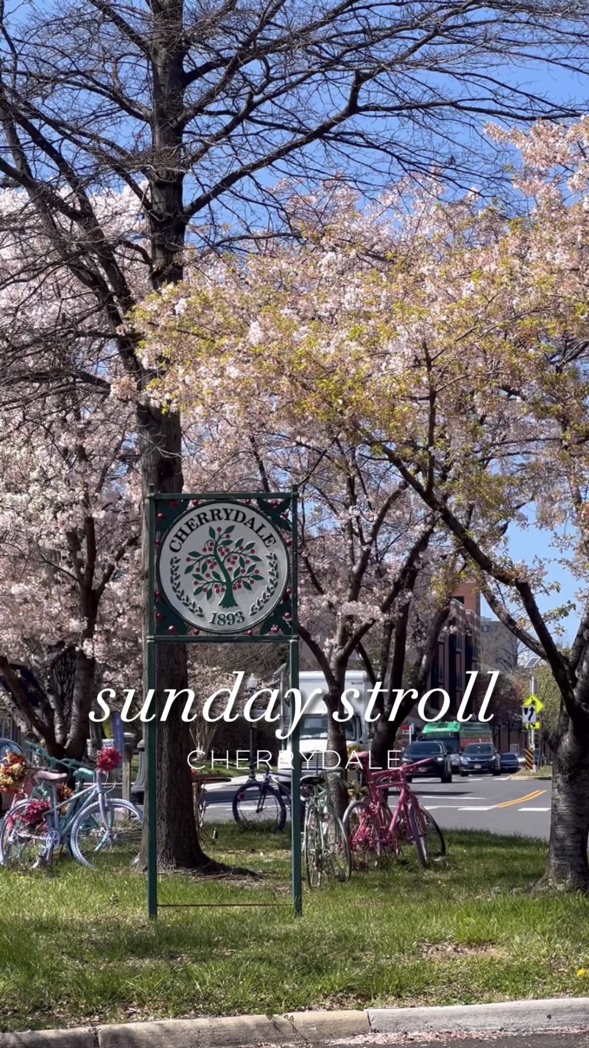 Sunday Stroll Cherrydale Arlington, VA