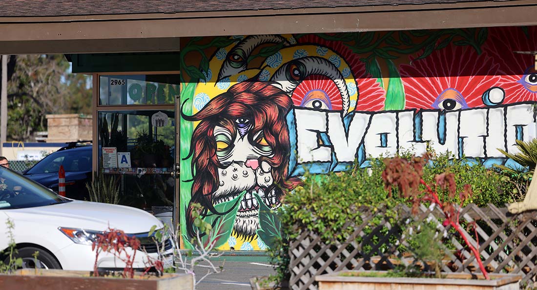 evolution vegan restaurant