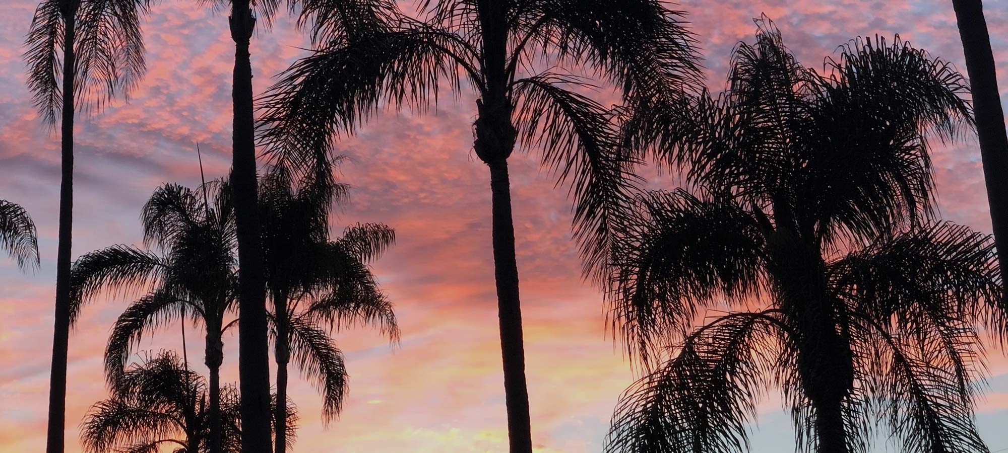 Kensington CA Real Estate Kensington Homes For Sale