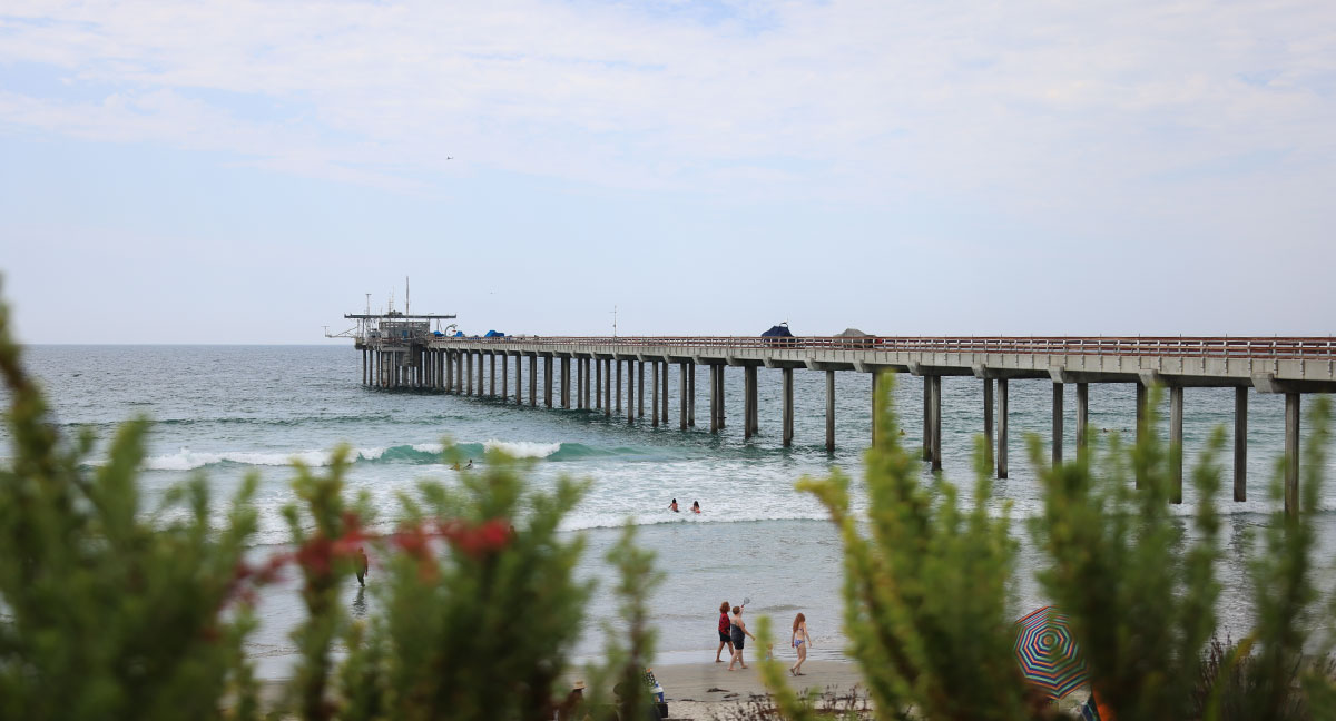 scripps pier in la jolla overlooking scripps coastal reserve