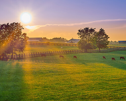 Farms and Land Homes for Sale