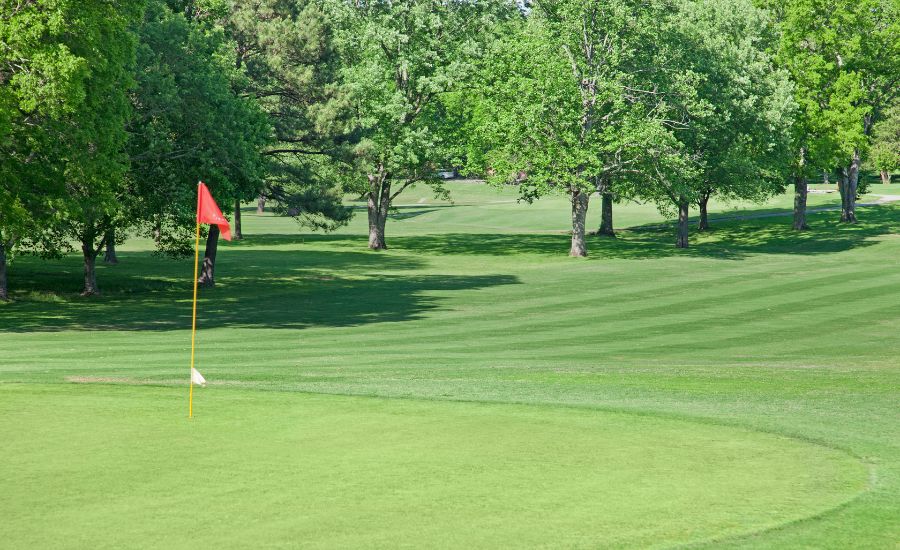 Cortez CO Golf Homes for Sale 