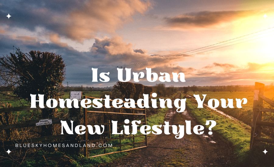 From City Streets to Backyard Beets Could Urban Homesteading Be Your New Lifestyle