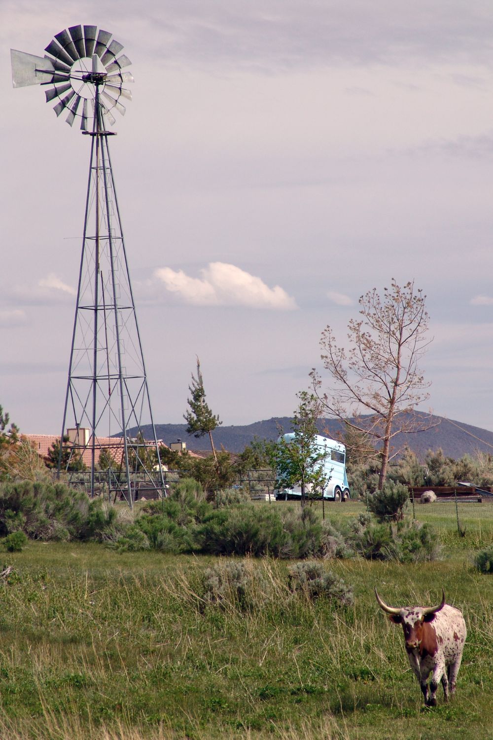 Lost Canyon Estates Homes for Sale