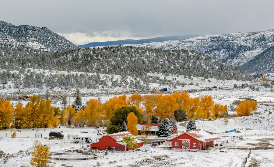 Moving to Dolores, Colorado in 2026