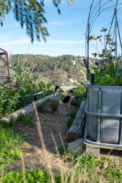 Off-Grid Property in Southwest Colorado