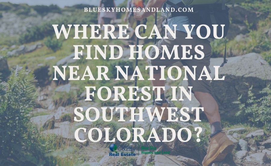 Where Can You Find Homes Near National Forest in Southwest Colorado