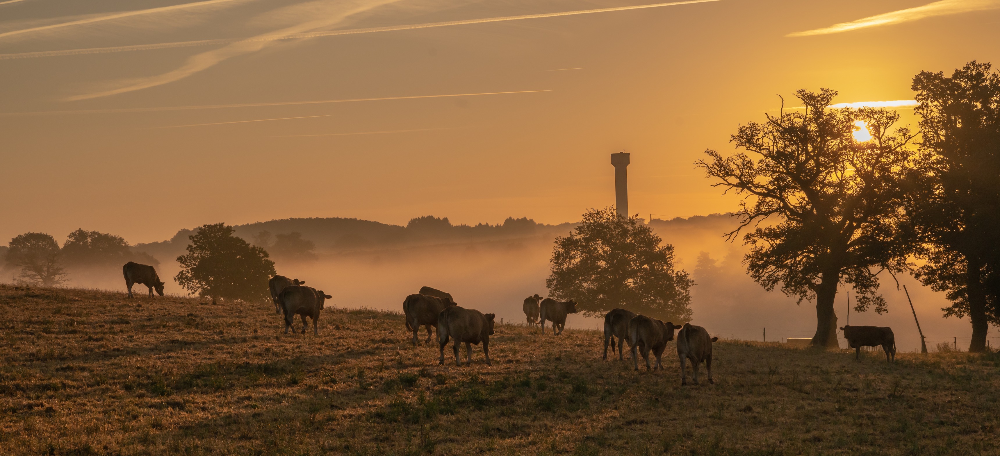 cattle ranching in southwest colorado