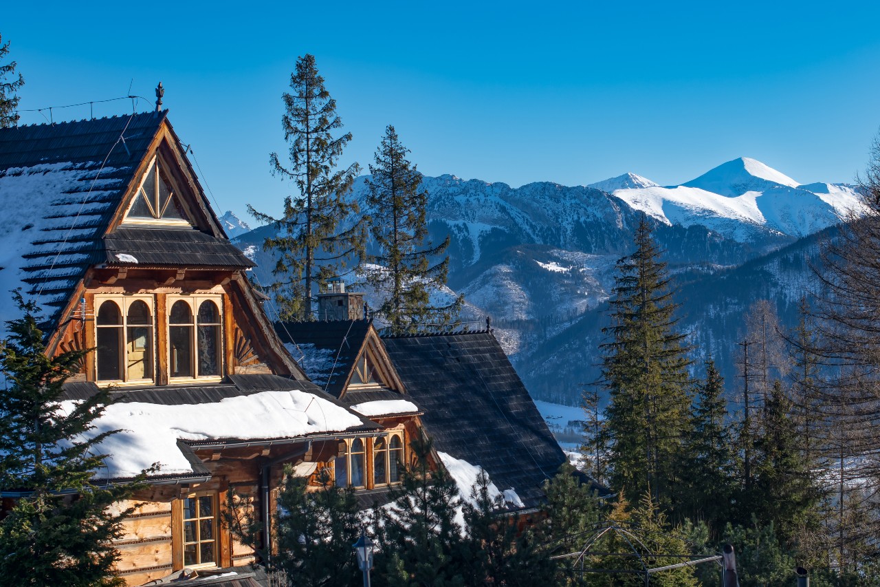 Log Homes in Dolores, Colorado