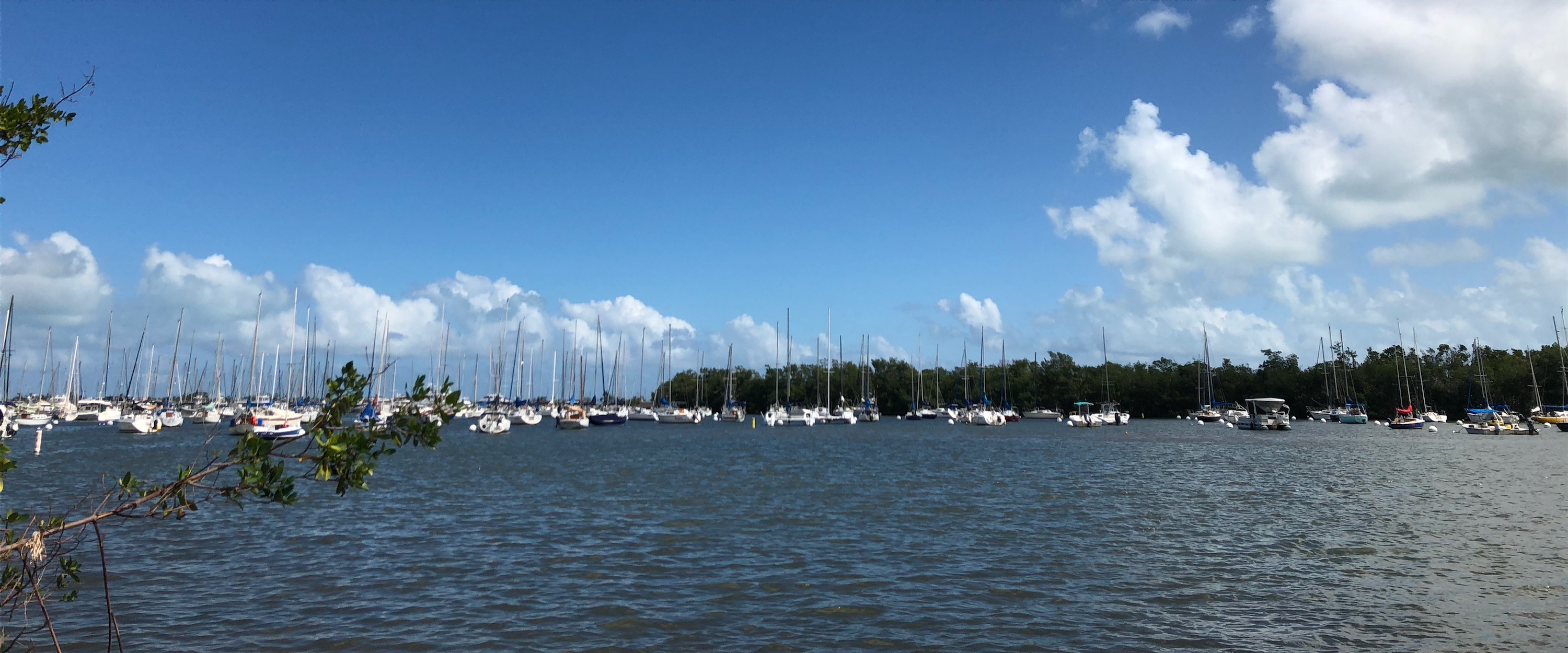 Coconut Grove Homes For Sale Coconut Condos For Sale Coconut Grovei